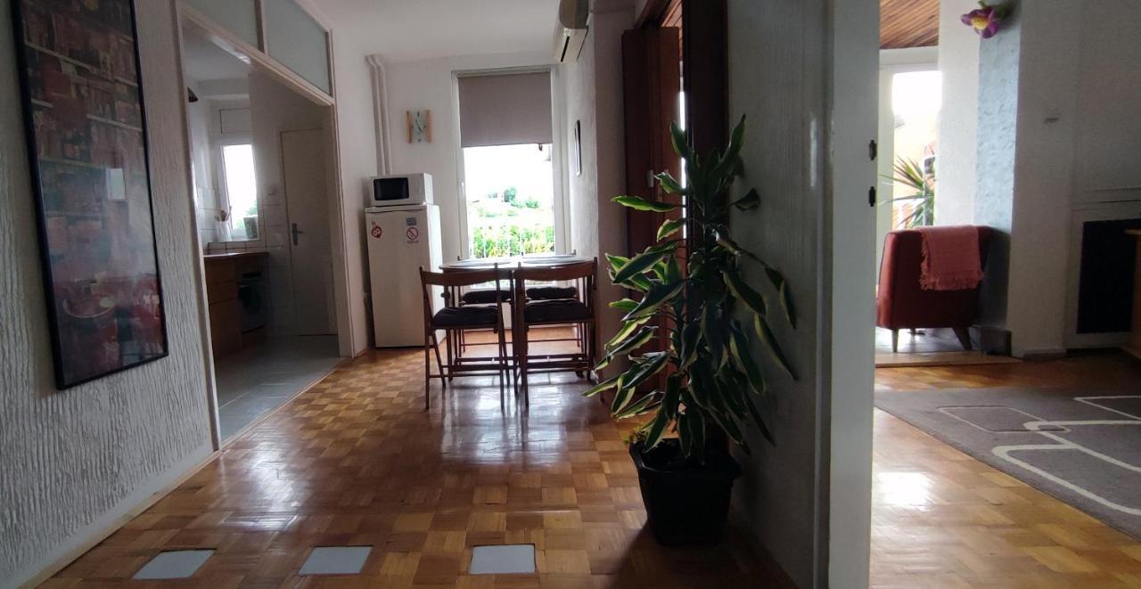 Sokolov Apartment Смедерево Экстерьер фото